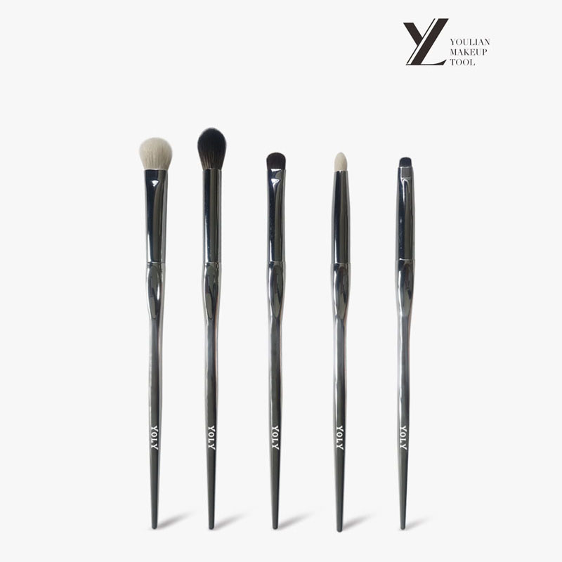 Conjunto de escova para os olhos de 5 peças